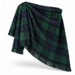 Design visualization of fly plaid for a custom Highlandwear brief